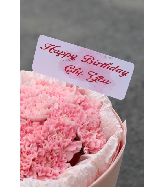  “Pink Devotion – Dịu Dàng Một Lời Yêu”