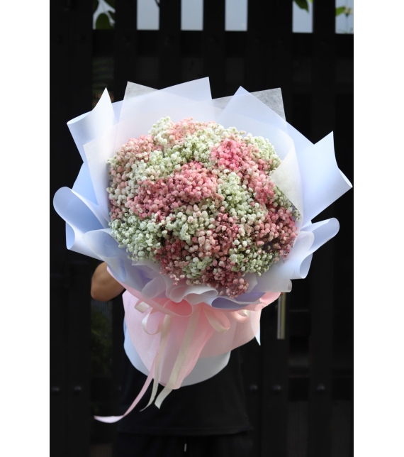  “Blush Cloud – Áng Mây Hồng Trắng”