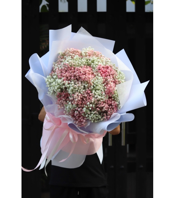  “Blush Cloud – Áng Mây Hồng Trắng”