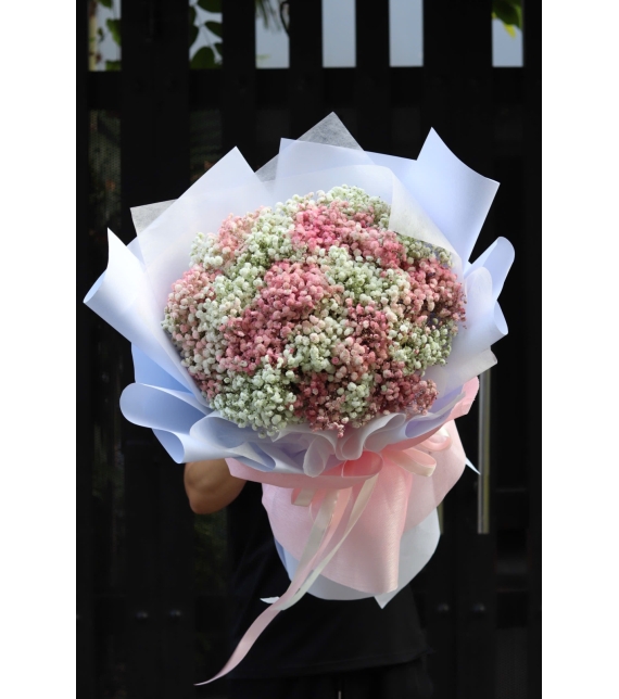  “Blush Cloud – Áng Mây Hồng Trắng”