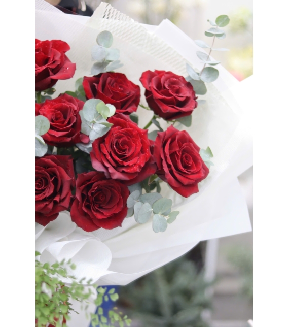  “Crimson Prestige – Quyền Uy Đỏ Thẫm”