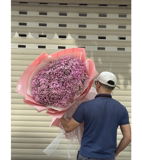 “Baby Hồng Mây – Vẻ Đẹp Mong Manh Như Áng Sớm