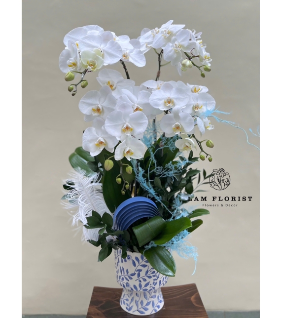 Chậu hồ điệp trắng 4 cành sang trọng