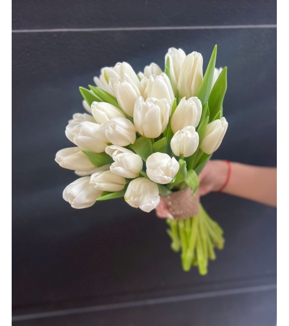 Hoa cưới Tulip trắng  đầy đặn