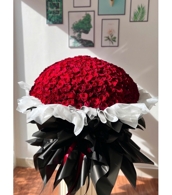 Bó Hồng Ecuador 520 bông "ANH YÊU EM'