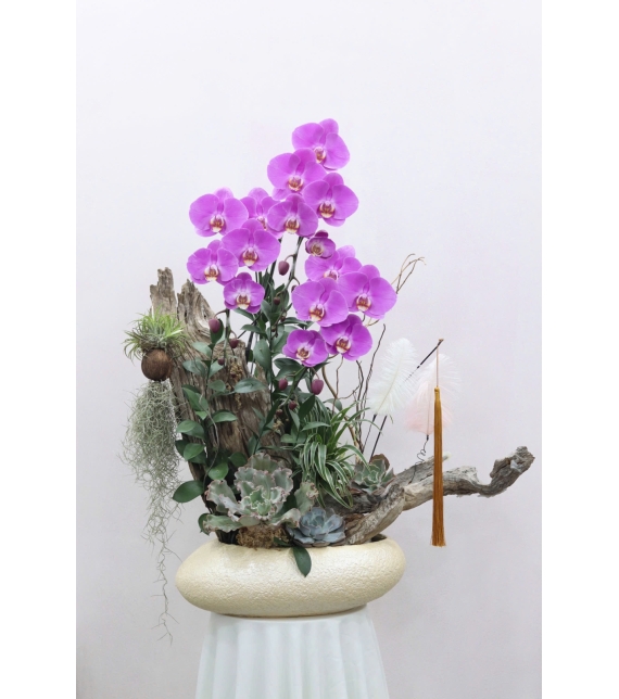Chậu Lan Lụa Gỗ Nghệ Thuật – Vẻ Đẹp Vĩnh Cửu (Elegant Driftwood Orchid Arrangement)
