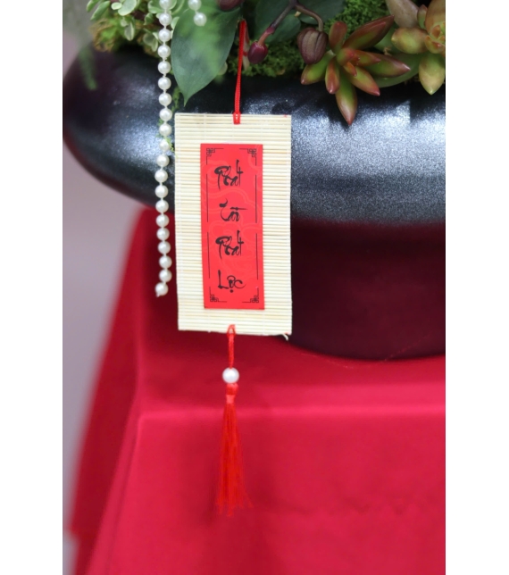 LAN HỒ ĐIỆP ĐỎ PHÚ QUÝ – ĐIỂM NHẤN SANG TRỌNG CHO KHÔNG GIAN NGÀY TẾT