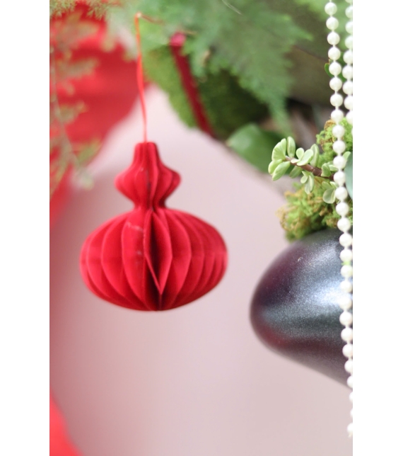 LAN HỒ ĐIỆP ĐỎ PHÚ QUÝ – ĐIỂM NHẤN SANG TRỌNG CHO KHÔNG GIAN NGÀY TẾT